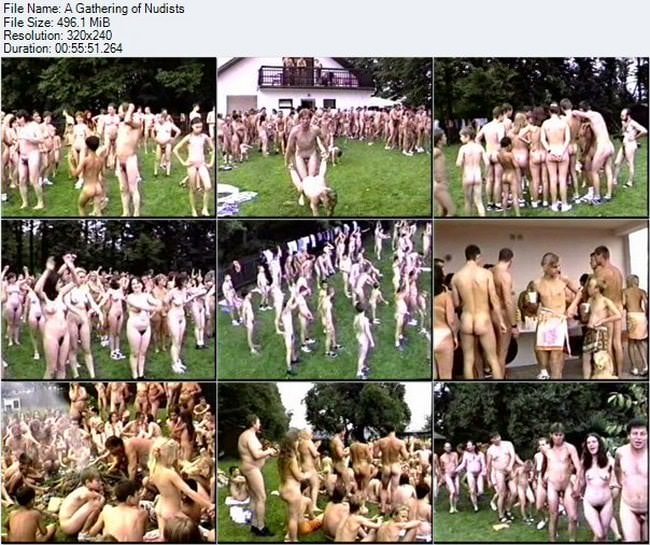 Eine große Gruppe Nudisten in Deutschland Video